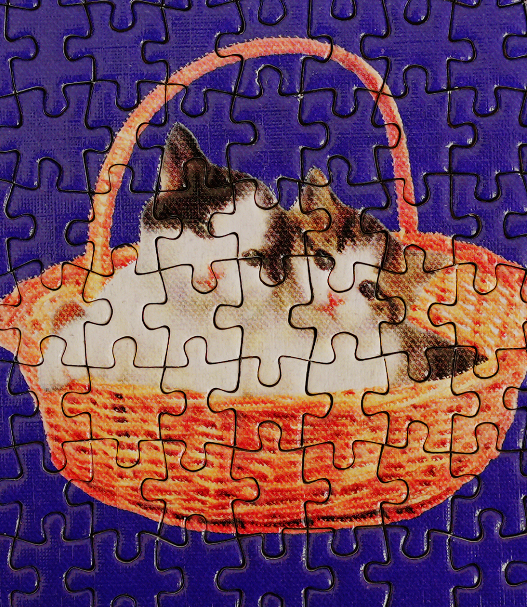 Kitty Puzzle
