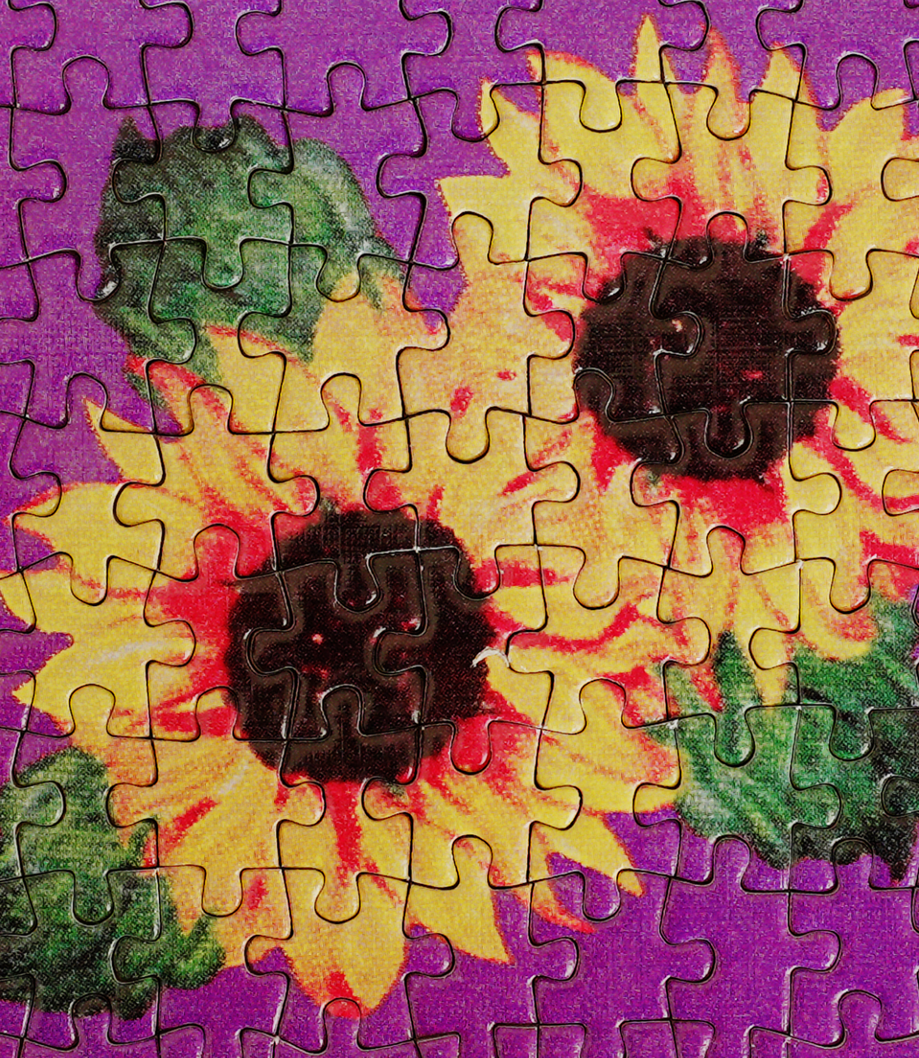 Sunflower Puzzle